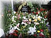 DSCF3679.JPG
