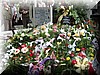 DSCF3680.JPG
